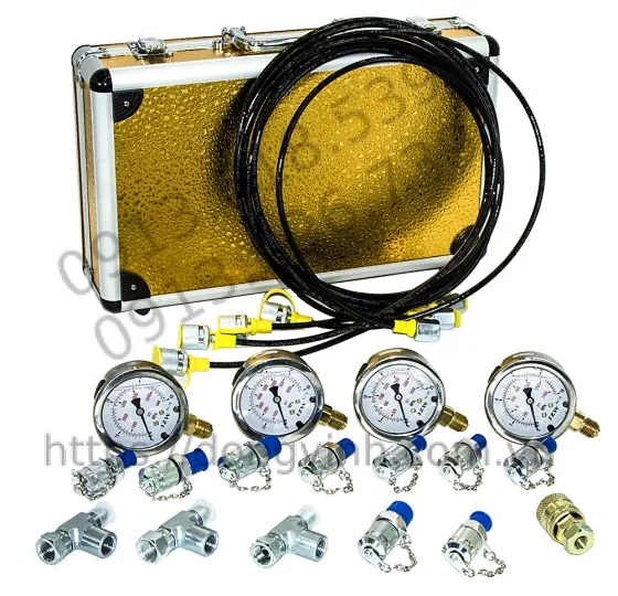 Bộ Đồng Hồ Đo Áp suất (4 ĐH)